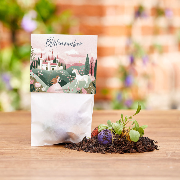 Papiertüte mit märchenhafter Illustration und dem Schriftzug "Blütenzauber"; daneben bunte Samenbomben und junge Pflänzchen auf Erde.