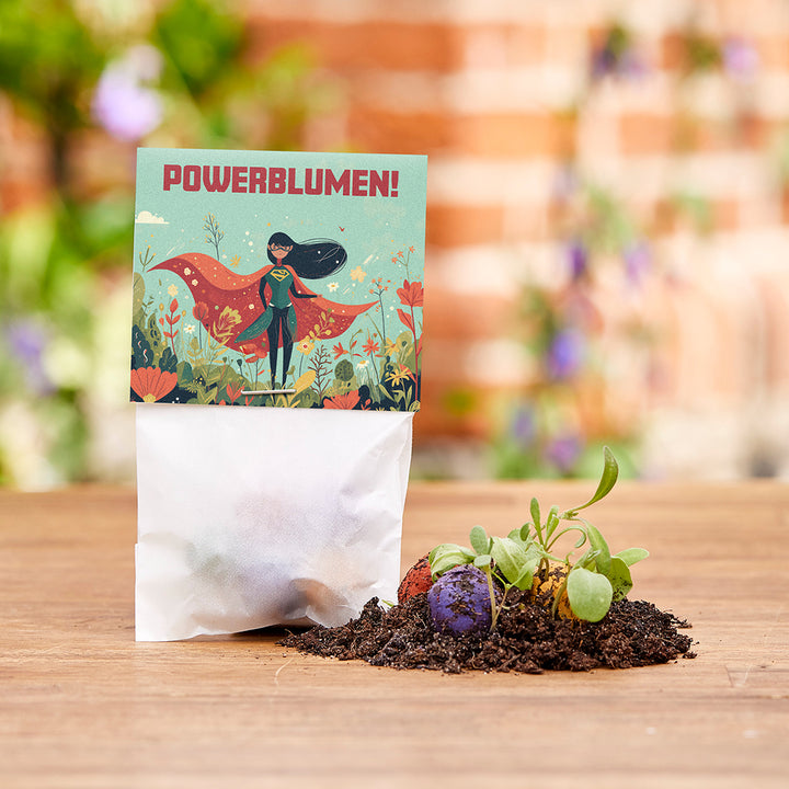 Tüte mit Aufschrift "Powerblumen!", daneben bunte Samenbomben und kleine Pflanzen auf Erde, im Hintergrund unscharfe Blumen und eine Mauer.