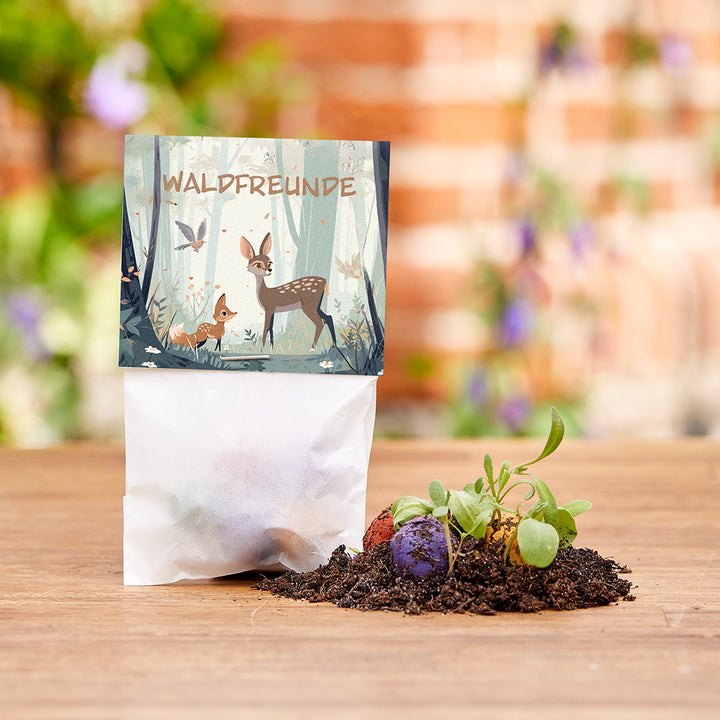 Papiertüte mit der Aufschrift "Waldfreunde" und Waldtier-Illustration; daneben bunte Samenbomben und junge Pflanzen in Erde.