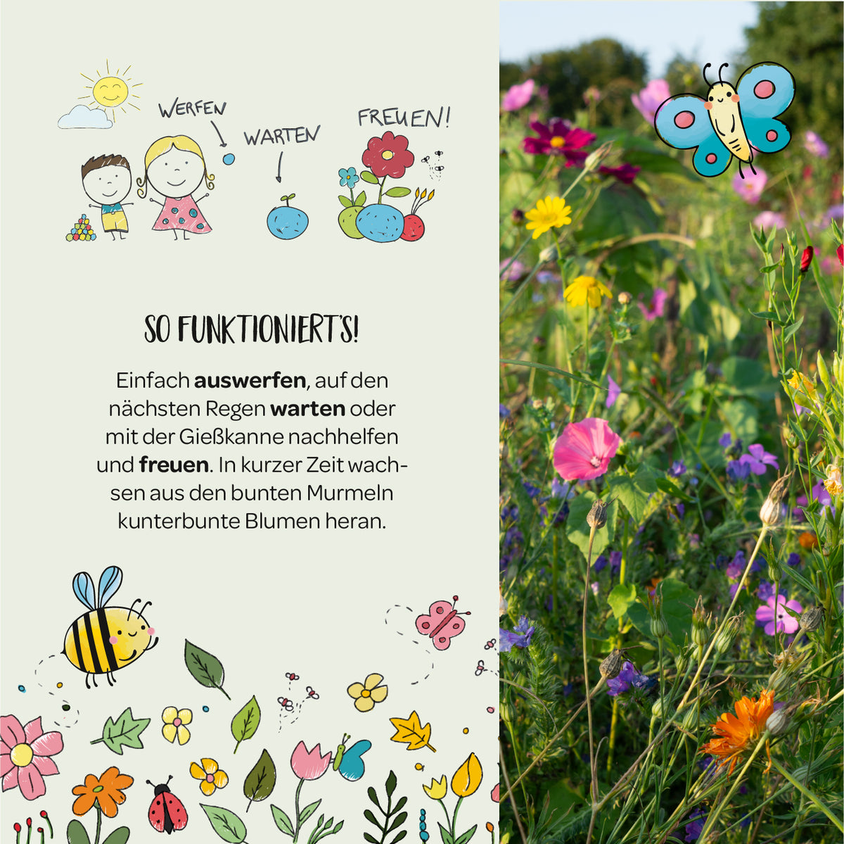 Illustration mit Anleitung zum Pflanzen von Blumen: Kinder werfen Murmeln, warten auf Regen, und freuen sich über blühende Blumen; daneben eine bunte Blumenwiese mit Schmetterling und gezeichneten Insekten.