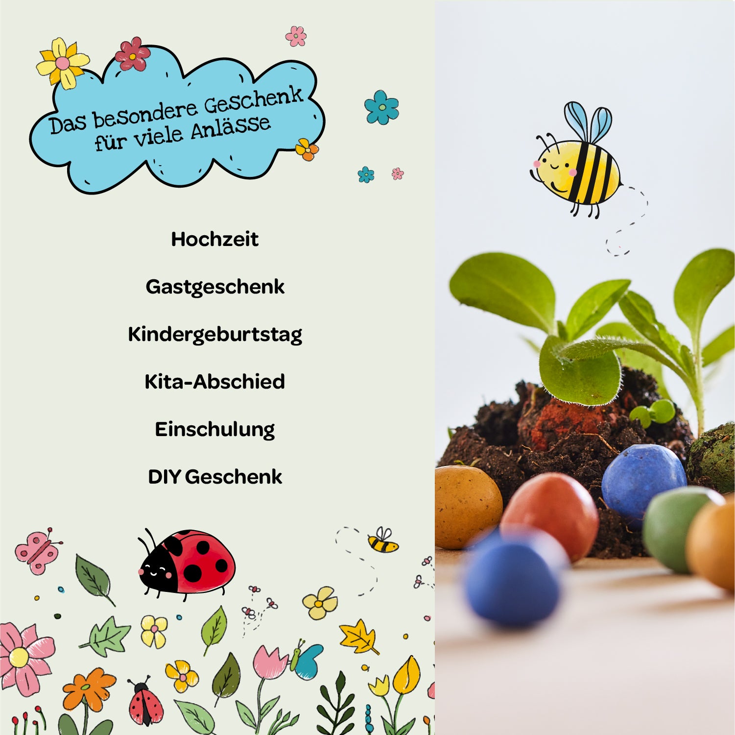 Eine bunte, frühlingshafte Illustration mit Blumen, Marienkäfer und Biene, daneben Pflanzen und bunte Samenbomben im Vordergrund; Text beschreibt das besondere Geschenk für verschiedene Anlässe wie Hochzeit, Gastgeschenk, Kindergeburtstag, Kita-Abschied, Einschulung und DIY Geschenk.
