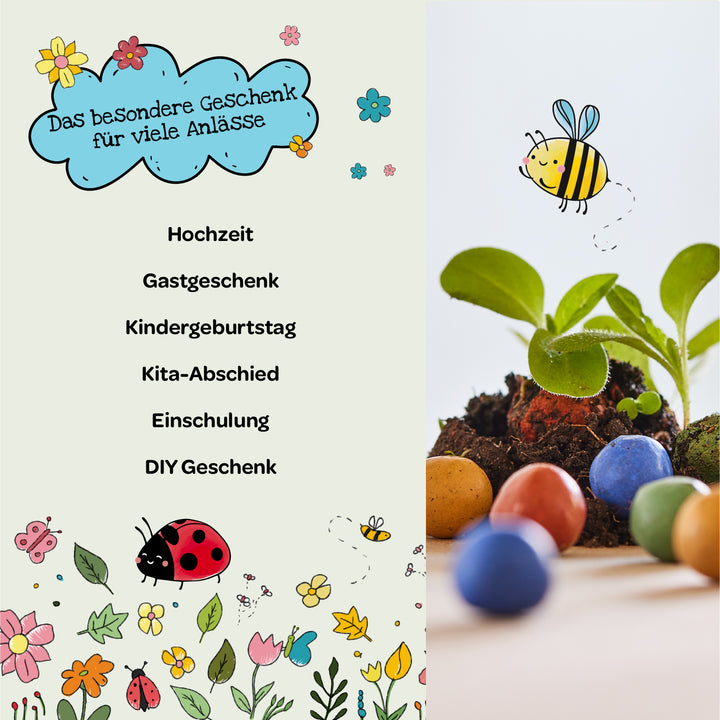 Eine bunte, frühlingshafte Illustration mit Blumen, Marienkäfer und Biene, daneben Pflanzen und bunte Samenbomben im Vordergrund; Text beschreibt das besondere Geschenk für verschiedene Anlässe wie Hochzeit, Gastgeschenk, Kindergeburtstag, Kita-Abschied, Einschulung und DIY Geschenk.