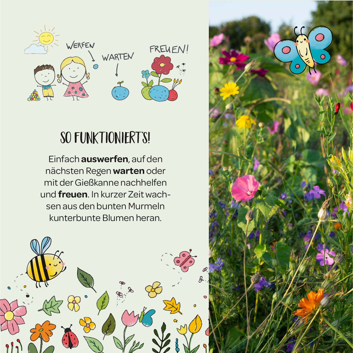 Illustration mit Kindern, Blumen und Tieren, daneben eine bunte Blumenwiese; Text erklärt, wie aus bunten Murmeln durch Aussäen Blumen wachsen.