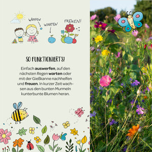 Illustration mit Kindern, Blumen und Tieren, daneben eine bunte Blumenwiese; Text erklärt, wie aus bunten Murmeln durch Aussäen Blumen wachsen.
