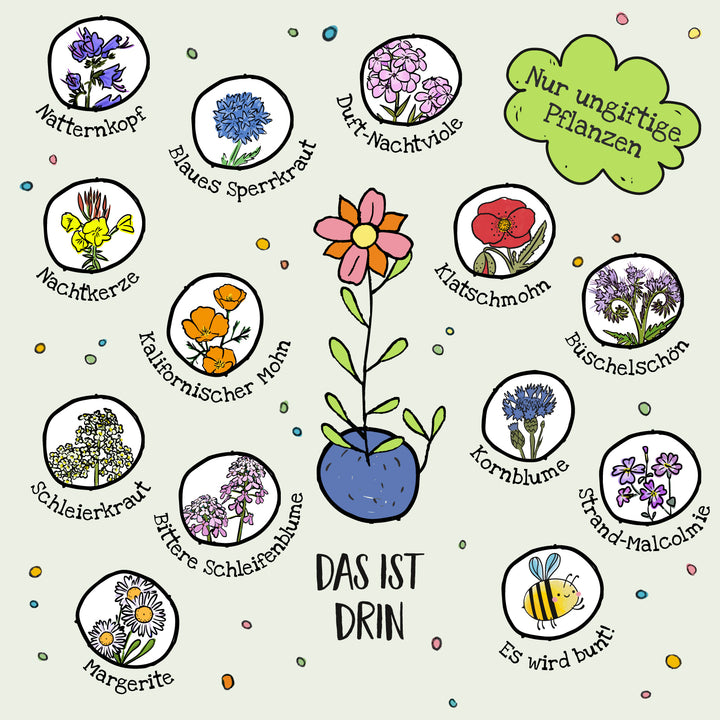 Illustration verschiedener ungiftiger Pflanzenarten mit ihren Namen auf Deutsch, darunter Natternkopf, Blaues Sperrkraut, Duft-Nachtviole, Nachtkerze, Kalifornischer Mohn, Klatschmohn, Büschelschön, Kornblume, Strand-Malcolmie, Schleierkraut, Bittere Schleifenblume, Margerite und eine Zeichnung einer Biene. In der Mitte steht „Das ist drin“ und „Nur ungiftige Pflanzen“.