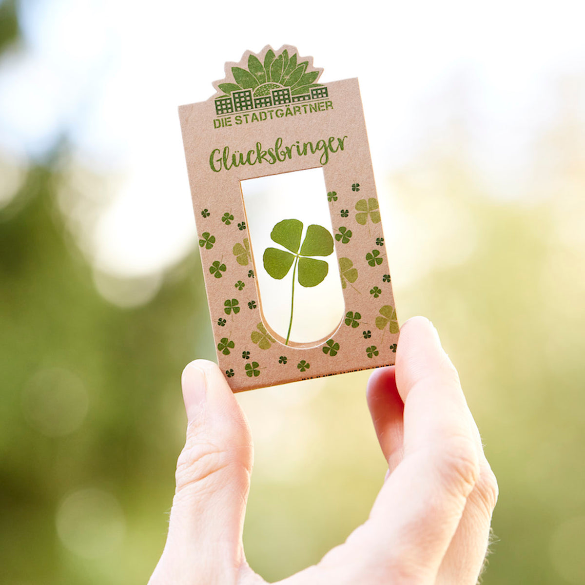 Hand hält eine Verpackung mit einem echten vierblättrigen Kleeblatt, beschriftet mit "Glücksbringer" und "Die Stadtgärtner".