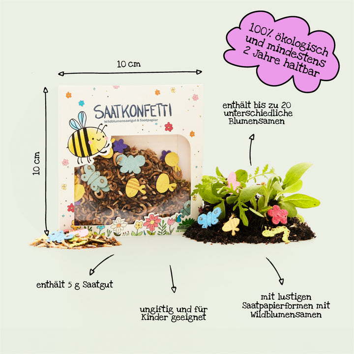 Schachtel mit Saatkonfetti aus Wildblumensamen, bunten Samenpapierformen, Erde und Pflanzen, mit Textinformationen zu ökologischer Herkunft, Kinderfreundlichkeit, Samenmenge und -vielfalt.