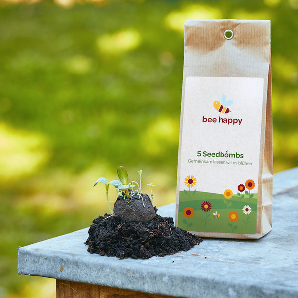 5 zaadbommetjes in een theezakje