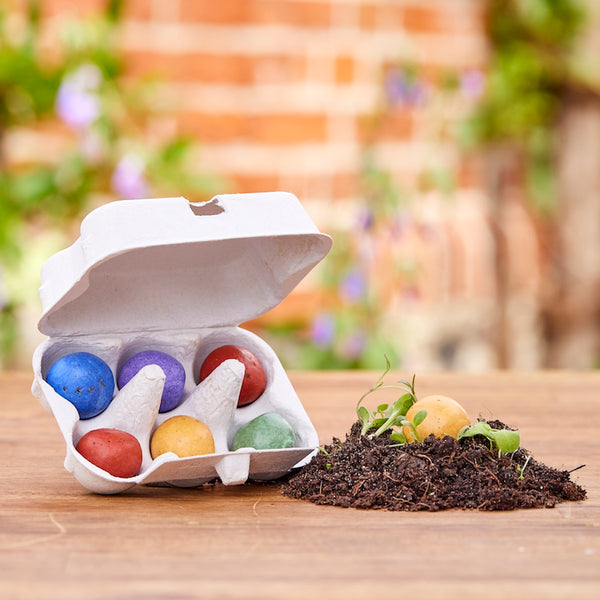 5 grote bloemknikkers in een doosje voor kwarteleitjes