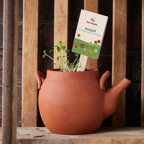 Zaadjes aan een stokje