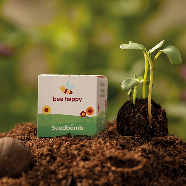 Zaadbom 4x4x4 cm verpakkingskubus