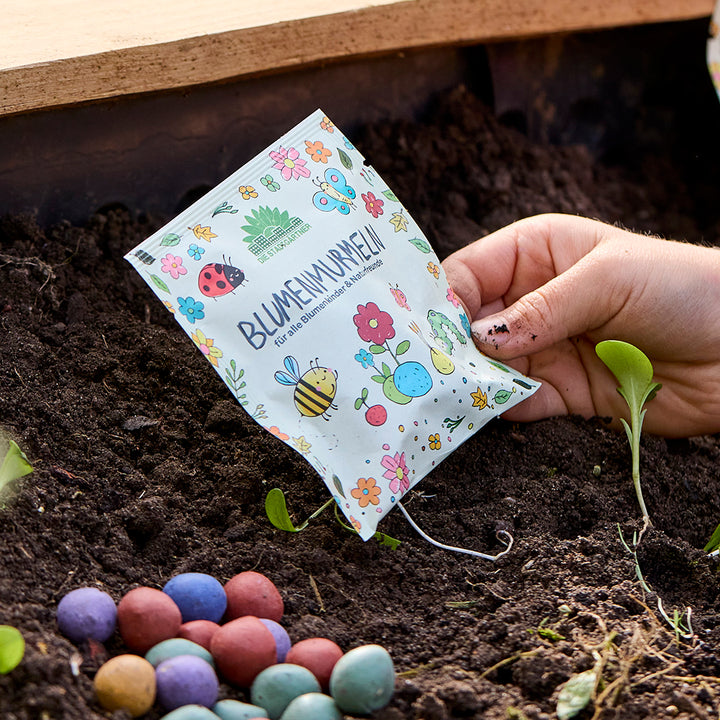 Eine Hand hält eine bunte Tüte mit Blumensamen über ein Beet, daneben liegen verschiedene bunte Samenbomben auf der Erde.