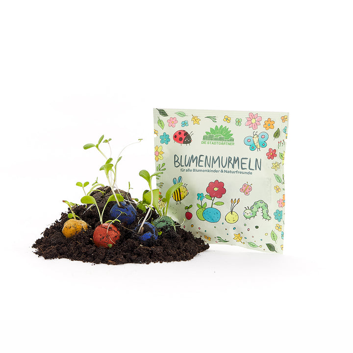 Ein Beutel mit der Aufschrift "Blumenmurmel" steht hinter einer Erde mit bunten Samenbällen und sprießenden Pflänzchen.