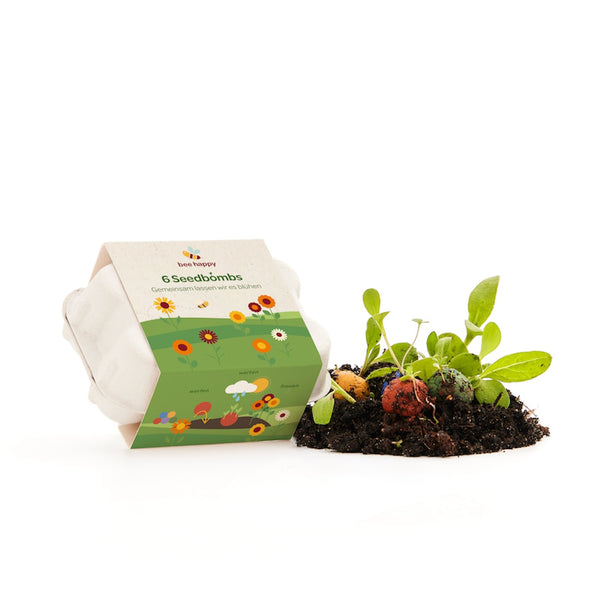 Pappverpackung mit Aufschrift "6 Seedbombs" neben Erde und sprießenden Pflanzen.