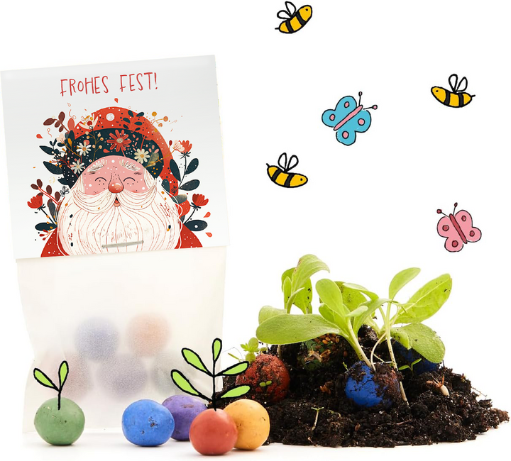 Geschenkset mit "Frohes Fest!" Karte, bunten Samenbällen, Erde, jungen Pflanzen sowie gezeichneten Bienen und Schmetterlingen.