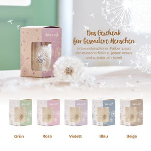 Fünf Geschenkboxen mit Pusteblumen in verschiedenen Farben (Grün, Rosa, Violett, Blau, Beige) als dekorative Wunsch-Erfüller, präsentiert auf einem Tisch, daneben der Text "Das Geschenk für besondere Menschen".