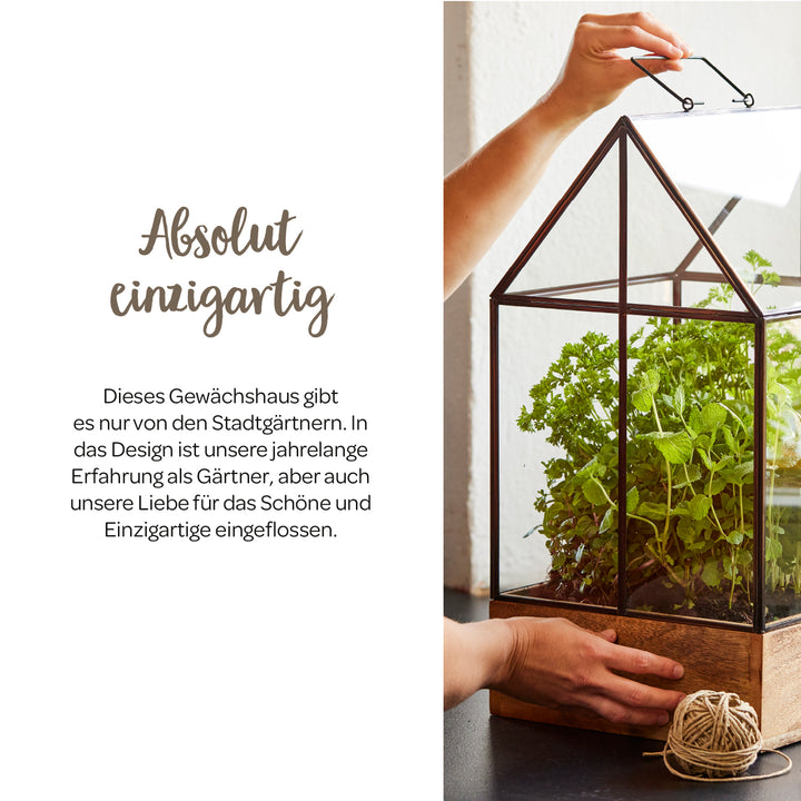 Eine Person öffnet ein kleines, gläsernes Gewächshaus mit frischen Kräutern auf einer schwarzen Oberfläche; daneben Text über ein einzigartiges Gewächshausdesign.