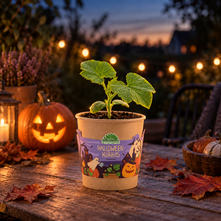 Halloween pompoen - Beker
