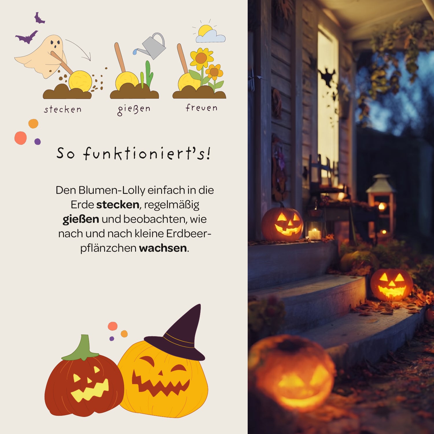 Halloween - Bloemlolly - Zonnebloem