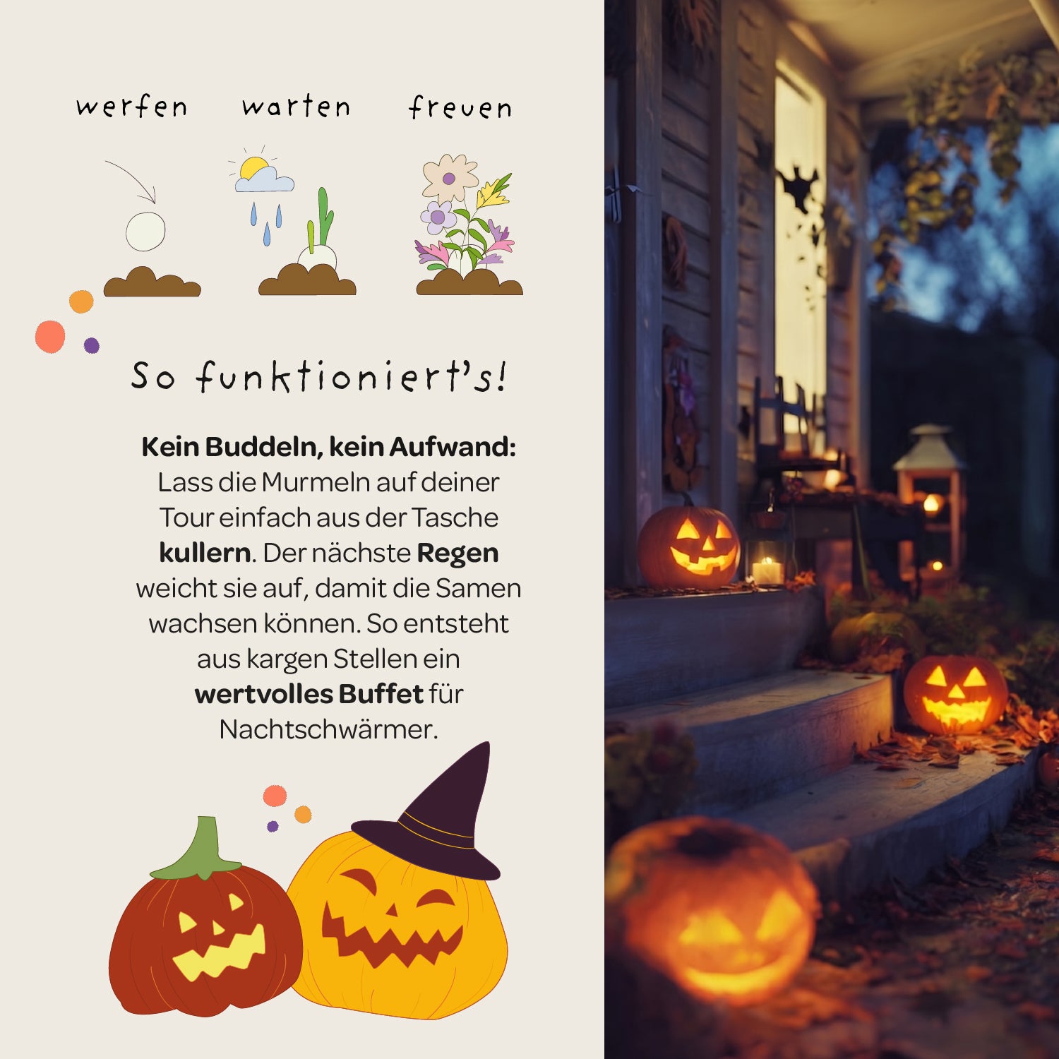 5 Bloemknikkers in zakje "Halloweenknikkers"