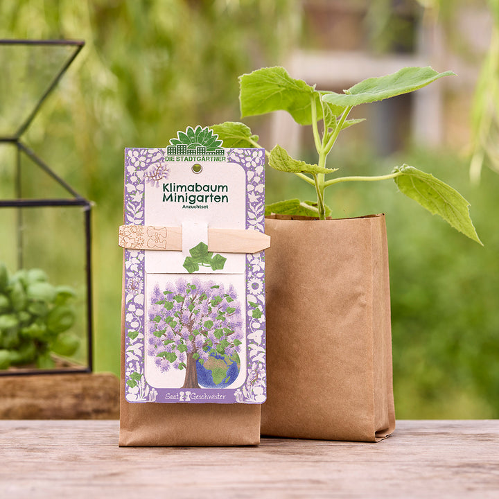 Ein Klimabaum-Minigärten Anzuchtset mit Pflanze in brauner Papiertüte steht auf einem Holztisch im Garten.