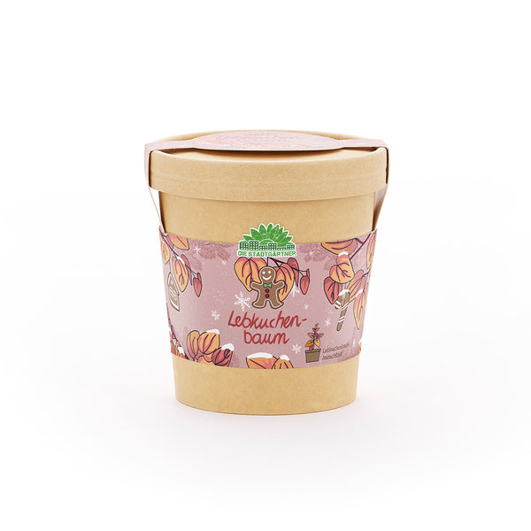 Peperkoekboom uit de beker