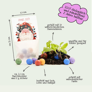 Tüte mit weihnachtlichem Design, gefüllt mit bunten Samenbällchen, daneben grüne Pflänzchen; Beschriftungen heben ökologische, kinderfreundliche Eigenschaften und Inhalte hervor.