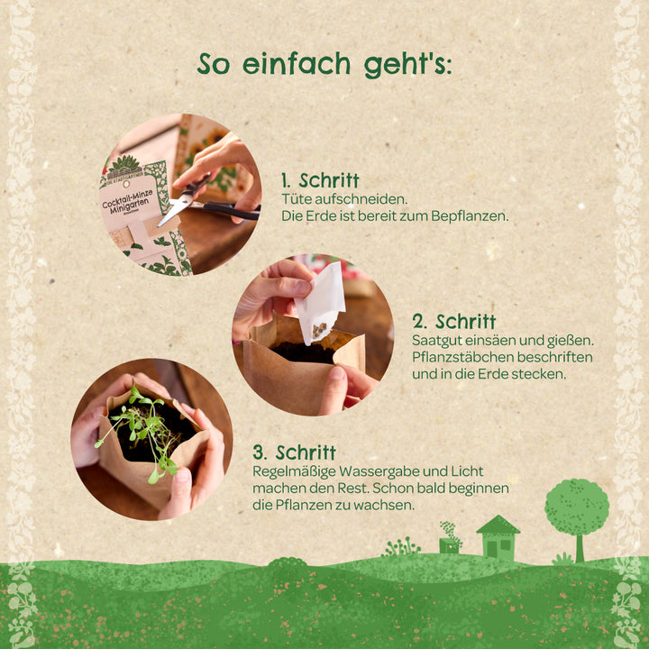 Schritt-für-Schritt-Anleitung zum Anpflanzen eines Mini-Gartens mit Bildern: Tüte aufschneiden, Saatgut einfüllen, gießen und Keimlinge wachsen lassen.