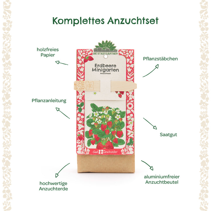 Komplettes Erdbeer-Anzuchtset mit Pflanzanleitung, Pflanzstäbchen, Saatgut, hochwertiger Anzuchterde und aluminiumfreiem Anzuchtbeutel, beschriftet mit erklärenden Pfeilen.