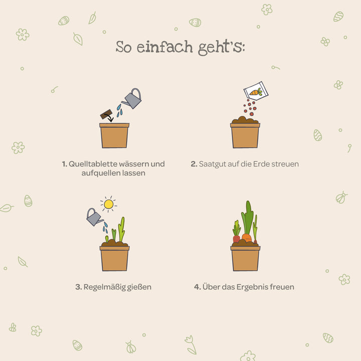 Vier einfache Schritte zum Pflanzenanbau mit Illustrationen: Quelltablette wässern, Saatgut streuen, regelmäßig gießen, über das Wachstum freuen.