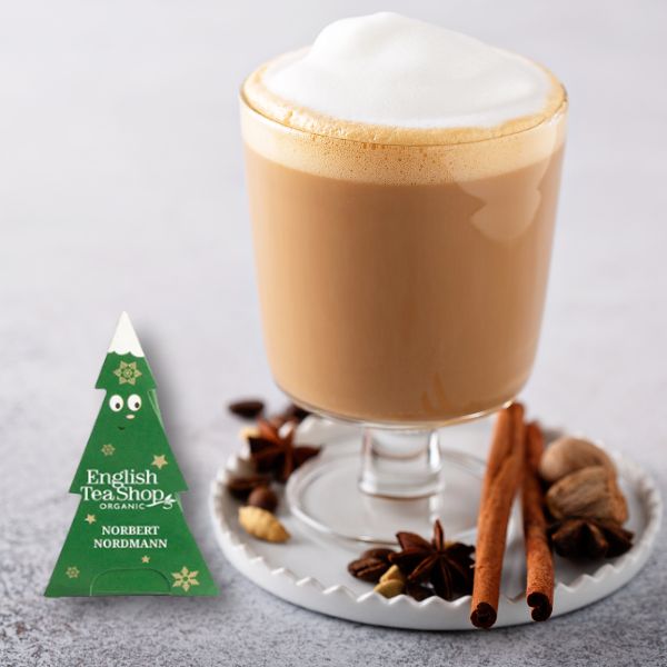 Intense Chai theezakjes biologisch – Norbert Nordmann