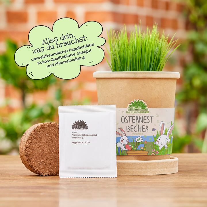 Umweltfreundlicher Pappbecher mit Osterdesign, gefüllt mit grünem Gras; daneben Kokos-Quelltablette und Saatguttütchen; im Hintergrund eine grüne Sprechblase mit Informationen zum Inhalt.