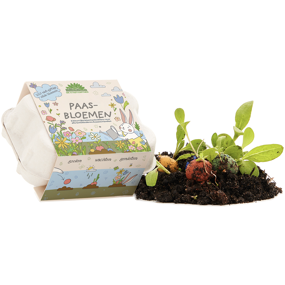 6 kleurrijke bloemenknikkers in een eierdoos