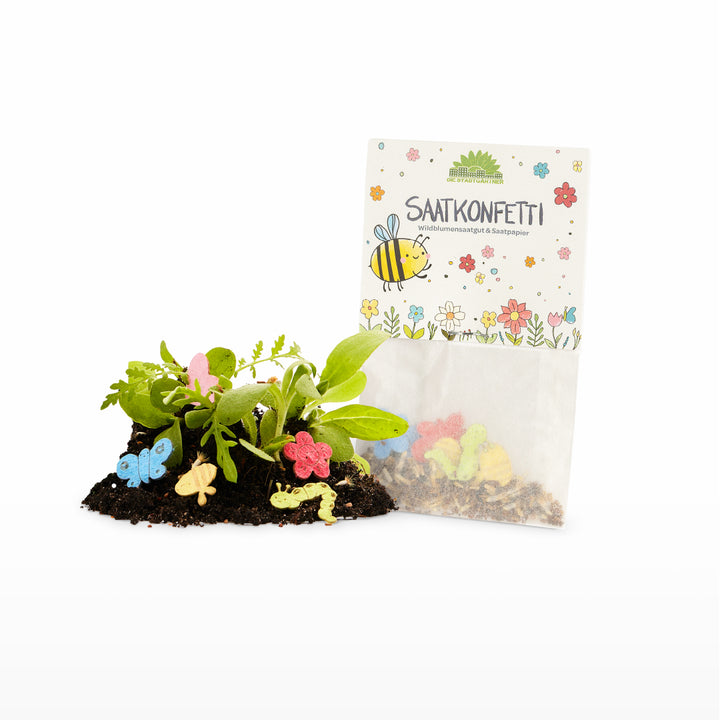 Tüte mit Saatkonfetti, dekoriert mit Blumen und Biene, daneben Erde mit kleinen Pflanzen und buntem Saatpapier in Form von Schmetterlingen und Blumen.