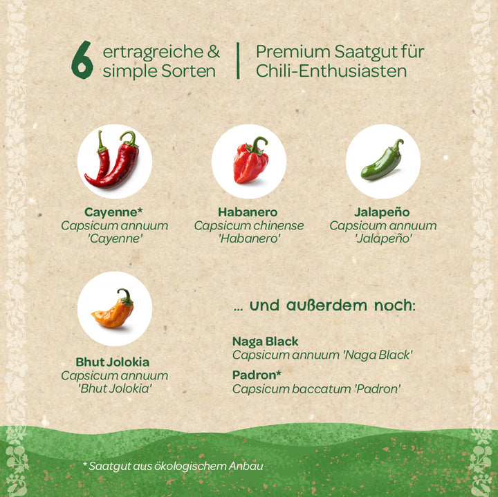Sechs verschiedene Chilisorten als Premium-Saatgut für Chili-Enthusiasten, darunter Cayenne, Habanero, Jalapeño, Bhut Jolokia, Naga Black und Padron, auf beigem Hintergrund dargestellt.