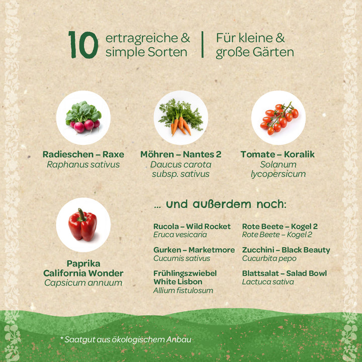 Informationsgrafik mit Bildern von Radieschen, Möhren, Tomaten und Paprika sowie einer Liste von zehn ertragreichen Gemüsesorten für kleine und große Gärten, mit deutschen und botanischen Namen.