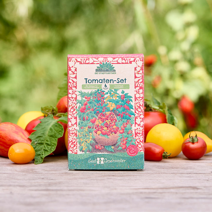 Eine Packung "Tomaten-Set" mit bunten Tomaten-Illustrationen steht auf einem Holztisch, umgeben von verschiedenen frischen Tomaten im Freien.