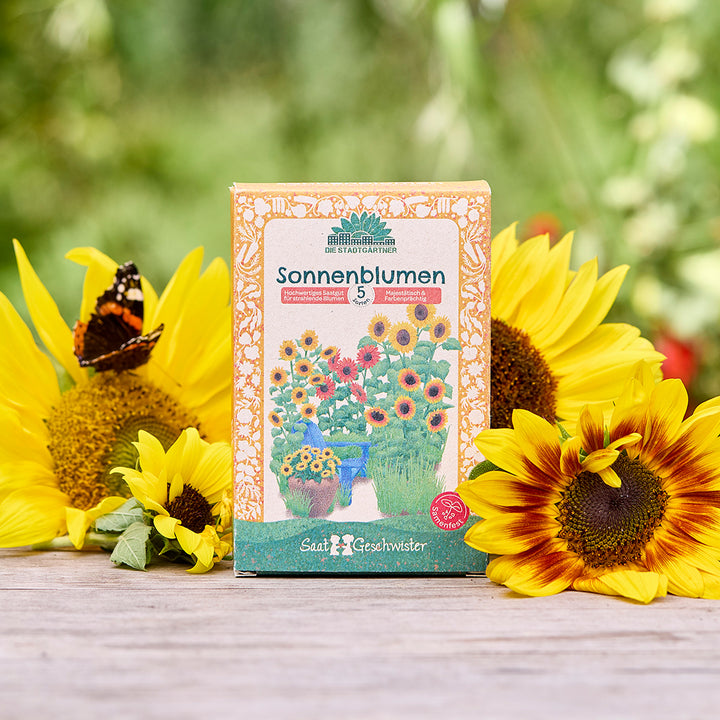 Eine Packung Sonnenblumensamen steht auf einem Holztisch, umgeben von Sonnenblumen und einem Schmetterling im Freien.
