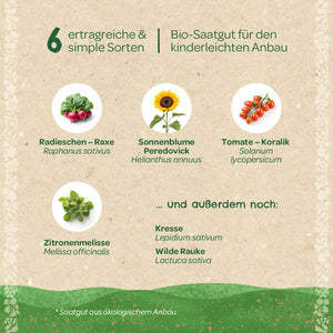 Sechs ertragreiche und einfache Gemüsesorten als Bio-Saatgut, darunter Radieschen, Sonnenblume, Tomate, Zitronenmelisse, Kresse und wilde Rauke, auf beigem Hintergrund mit grüner Verzierung.