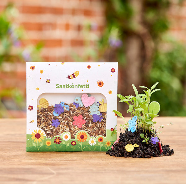 Zaadjes en zaadpapier-confetti in een etui-verpakking.