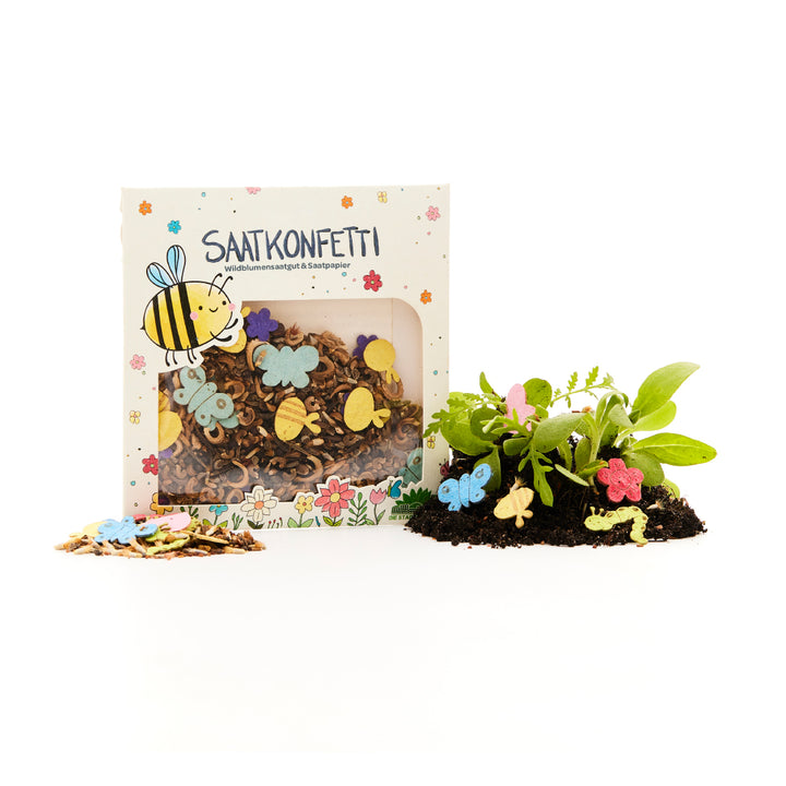 Verpackung mit Saatkonfetti aus Wildblumensamen und Saatpapier in bunten Formen, daneben Erde mit sprießenden Pflanzen und Dekor-Konfetti.