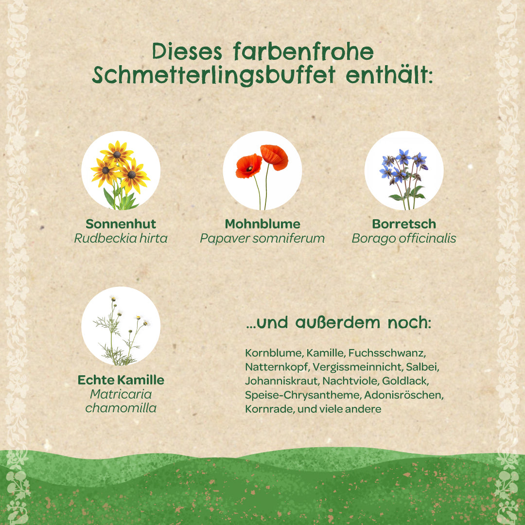 Infografik auf Deutsch mit verschiedenen Wildblumen wie Sonnenhut, Mohnblume, Borretsch und echter Kamille, die als Schmetterlingsbuffet vorgestellt werden, sowie einer Liste weiterer Blumenarten.