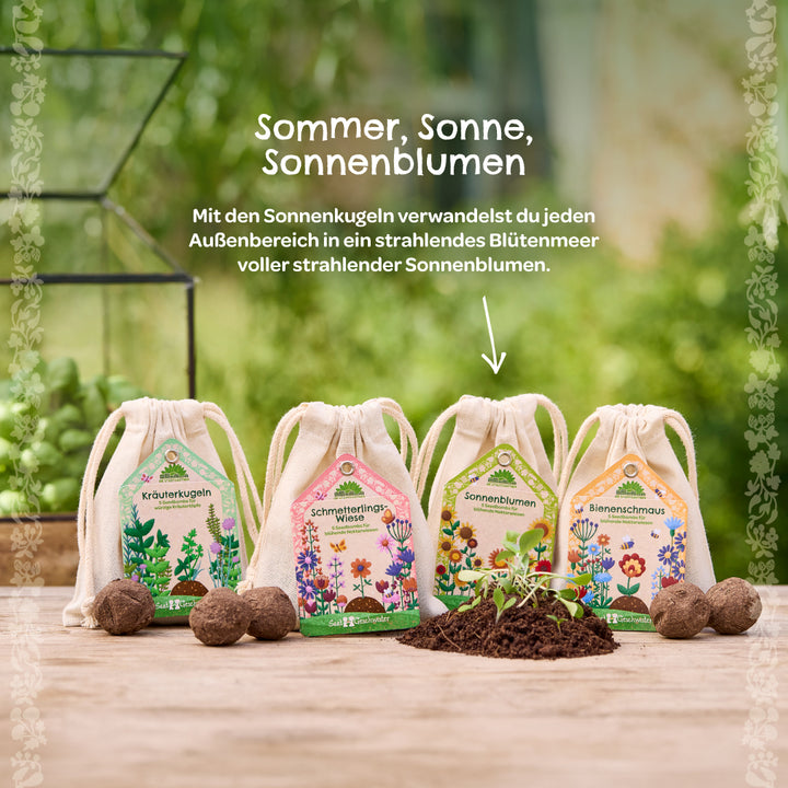 Vier dekorative Samentütchen mit Kräuterkugeln, Schmetterlingswiese, Sonnenblumen und Bienenschmaus stehen auf einem Holztisch, davor liegen Samen und Erde; im Hintergrund grüne Pflanzen.