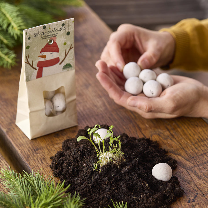 Hände halten mehrere runde Samenbälle über Erde mit kleinen Keimlingen, daneben steht eine Tüte mit der Aufschrift "Schneemannbäuche".