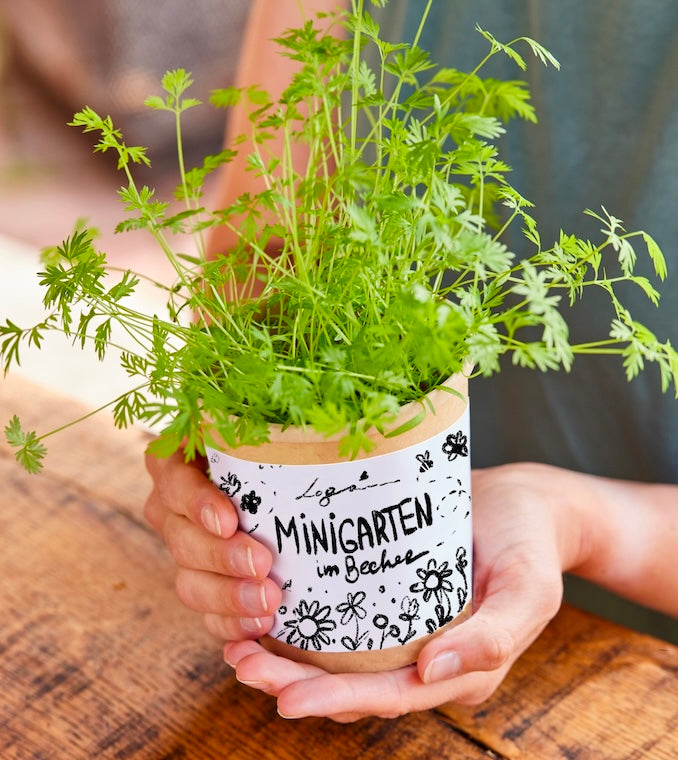 Eine Person hält einen kleinen Becher mit grünen Kräuterpflanzen und einem Etikett mit der Aufschrift "Minigarten im Becher".