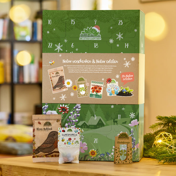 Grüner Adventskalender mit Naturmotiv, kleinen Saatgutpäckchen und Vogelillustration, auf einem Holztisch neben einer weihnachtlichen Dekoration.