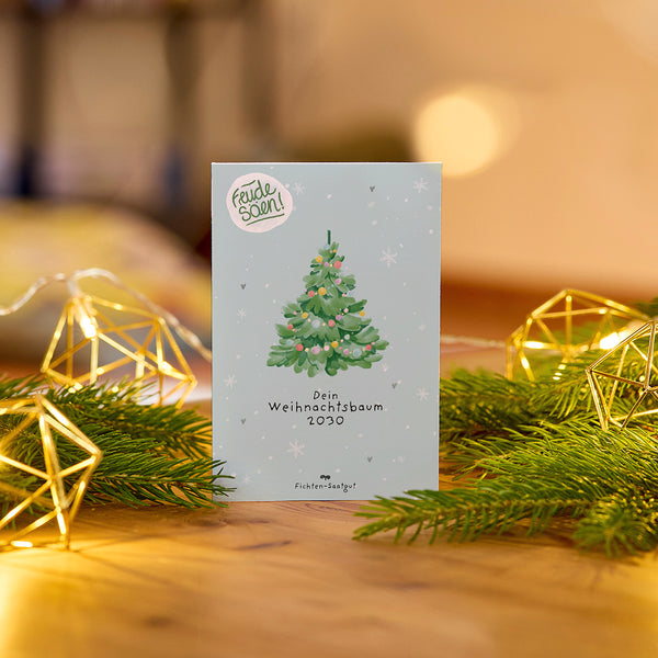 Sparrenzaden "Kerstboom 2030"