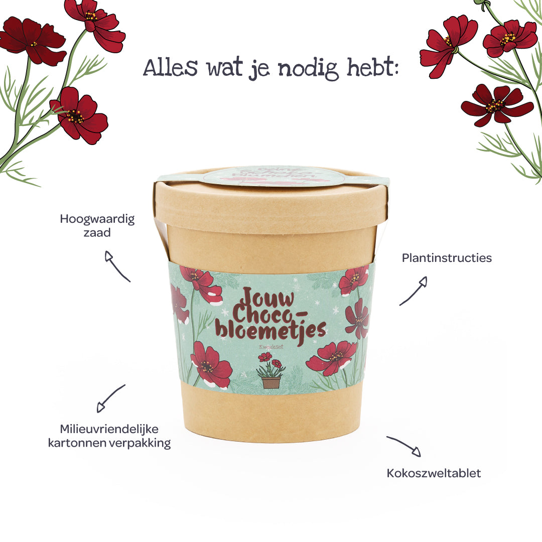 Kweekset voor chocoladebloemen