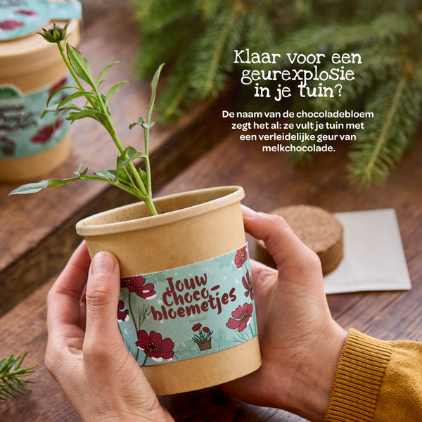 Kweekset voor chocoladebloemen