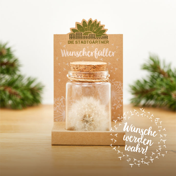 Glas mit Löwenzahn-Pusteblume und Korkdeckel, Produktverpackung mit Schriftzug "Wunscherfüller" und "Wünsche werden wahr!", Dekoration mit Kiefernzweigen im Hintergrund.